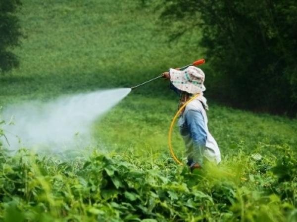 agriculture-2